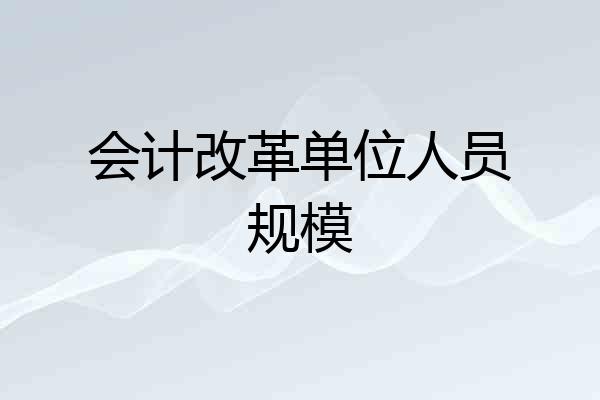 会计改革单位人员规模