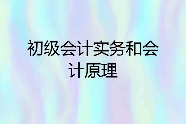 初级会计实务和会计原理