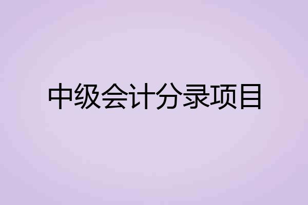 中级会计分录项目