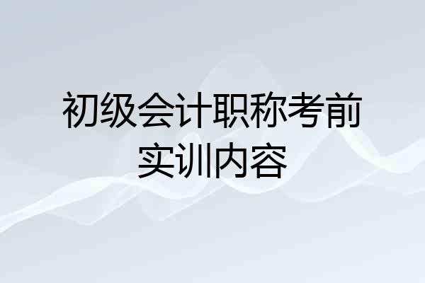 初级会计职称考前实训内容