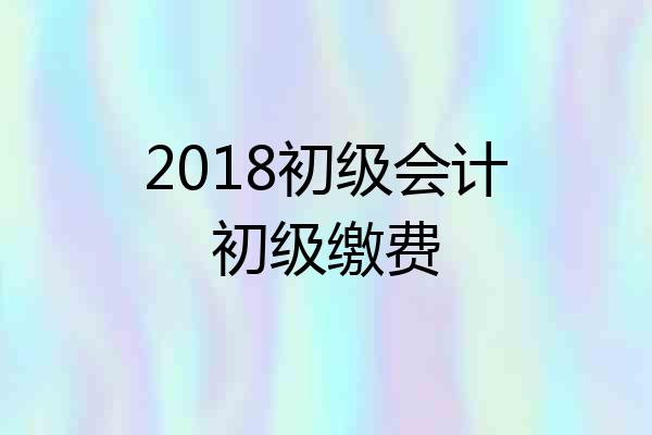 2018初级会计初级缴费