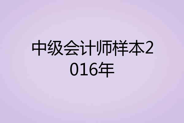 中级会计师样本2016年