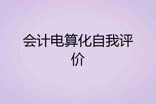 会计电算化自我评价