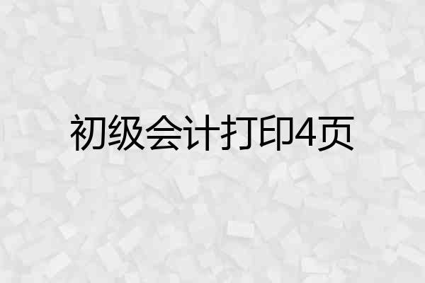 初级会计打印4页