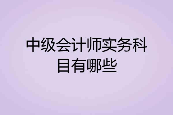 中级会计师实务科目有哪些