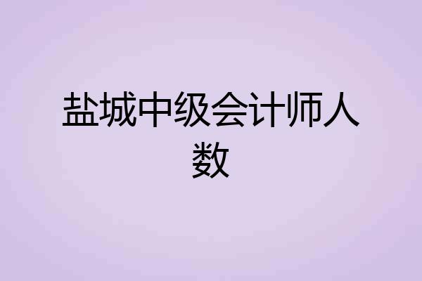盐城中级会计师人数