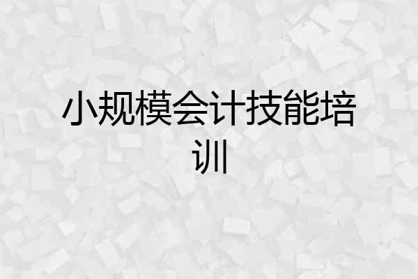 小规模会计技能培训