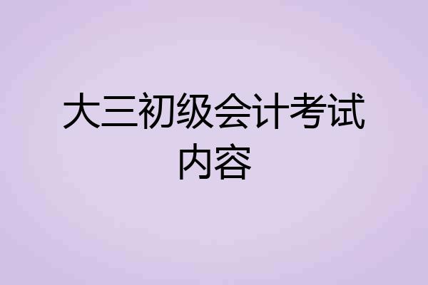 大三初级会计考试内容