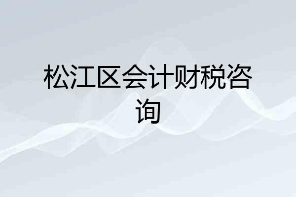 松江区会计财税咨询