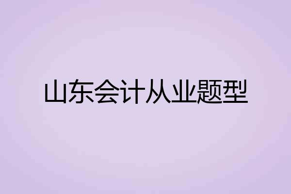 山东会计从业题型