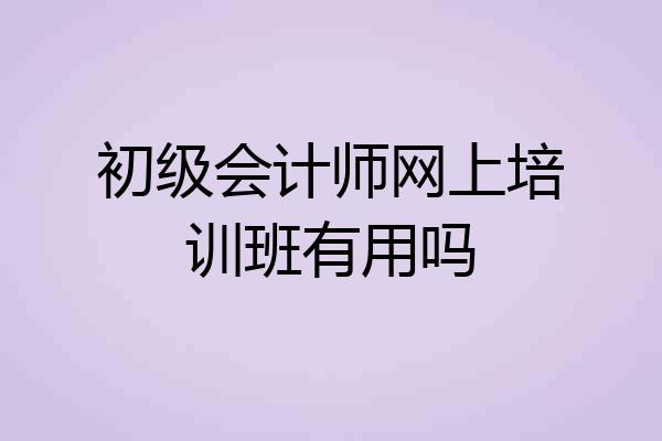 初级会计师网上培训班有用吗
