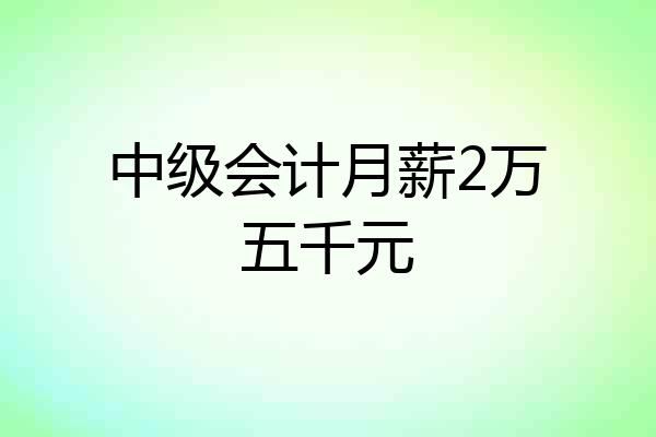 中级会计月薪2万五千元