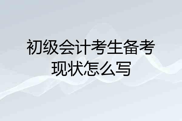 初级会计考生备考现状怎么写
