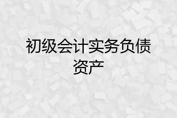 初级会计实务负债资产