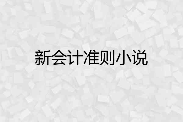 新会计准则小说