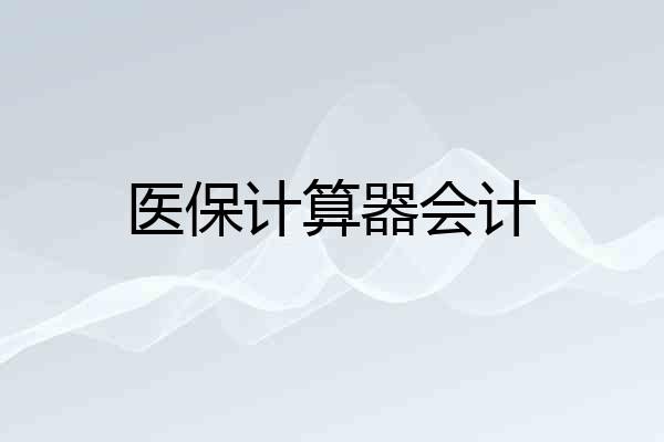 医保计算器会计