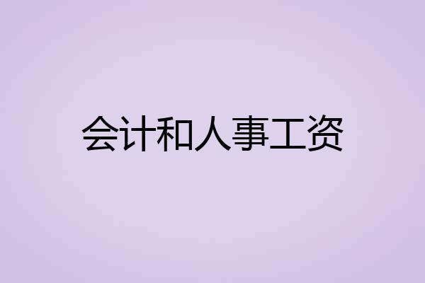 会计和人事工资