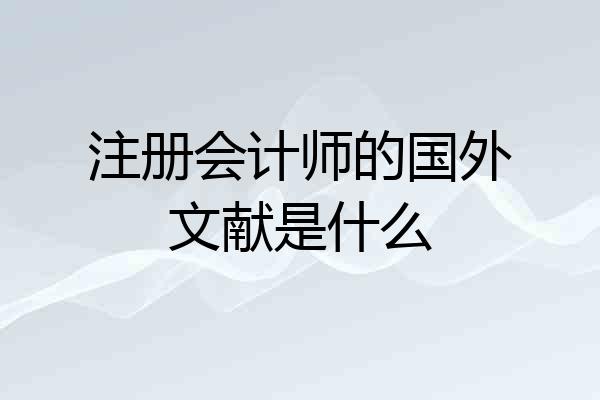 注册会计师的国外文献是什么
