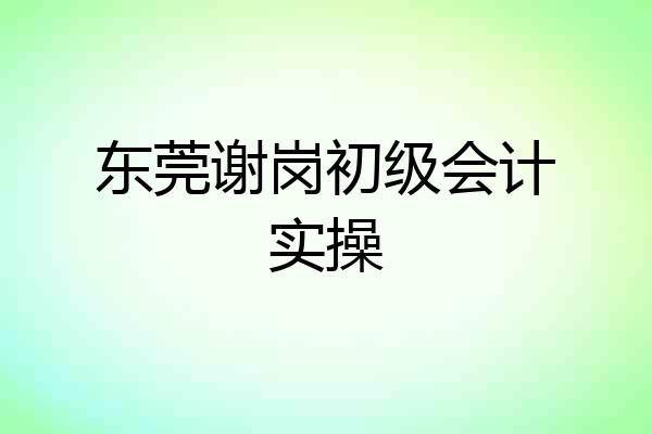 东莞谢岗初级会计实操