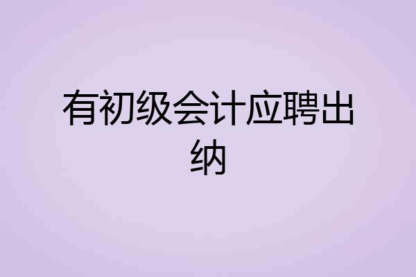 有初级会计应聘出纳