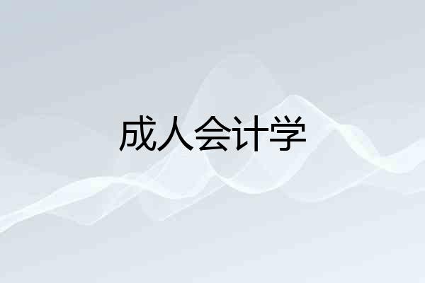 成人会计学