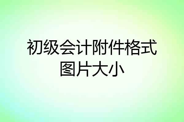 初级会计附件格式图片大小