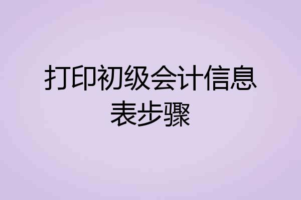 打印初级会计信息表步骤