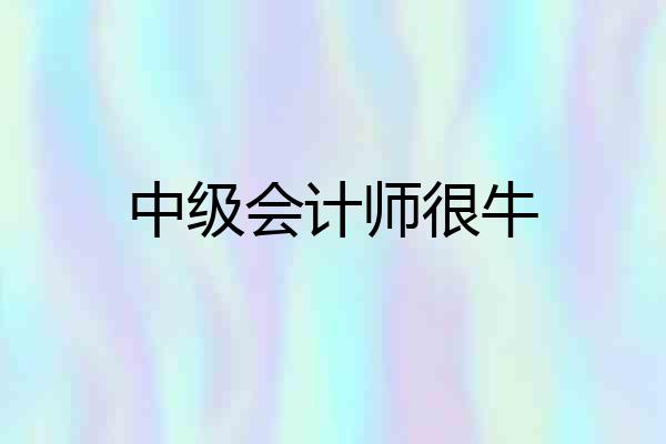 中级会计师很牛
