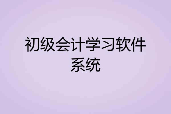 初级会计学习软件系统