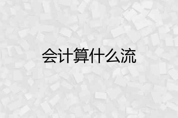 会计算什么流