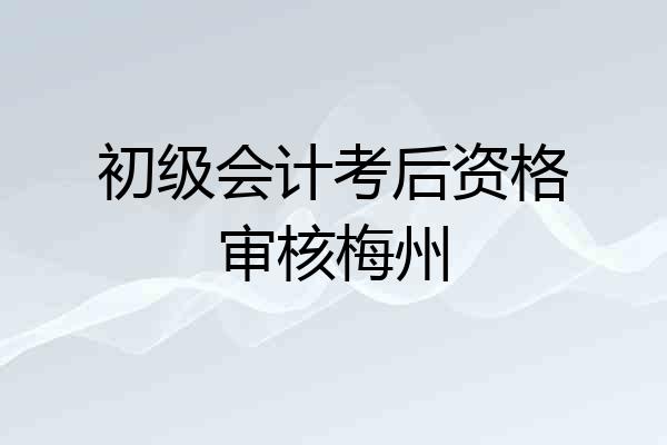 初级会计考后资格审核梅州