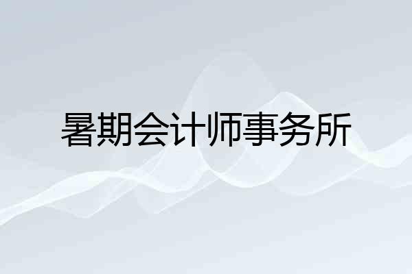 暑期会计师事务所