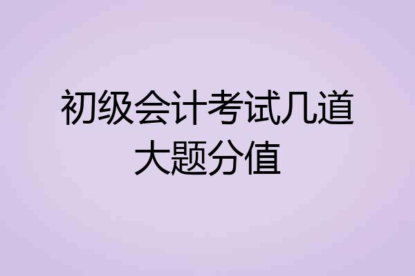 初级会计考试几道大题分值