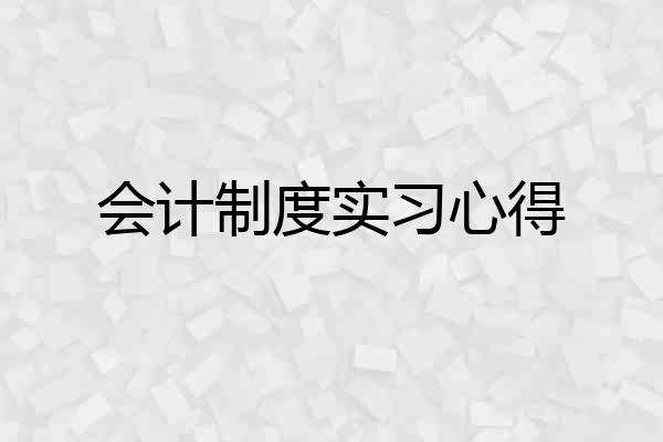 会计制度实习心得