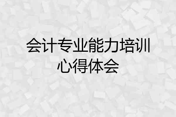 会计专业能力培训心得体会