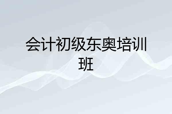 会计初级东奥培训班