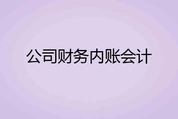 公司财务内账会计
