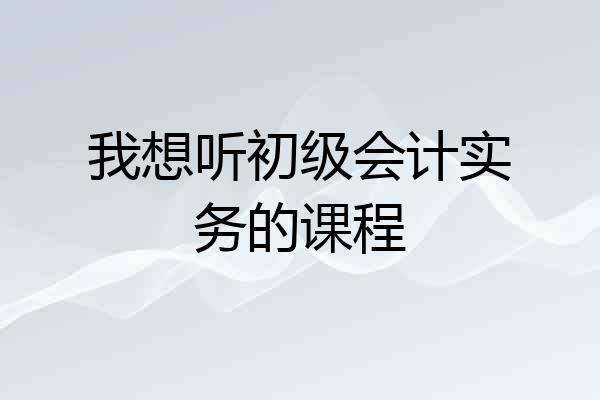 我想听初级会计实务的课程