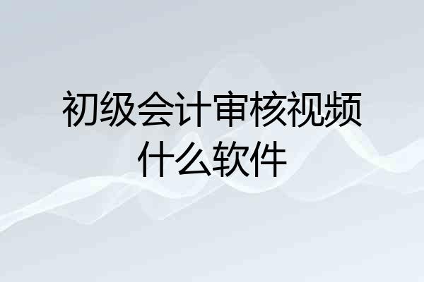 初级会计审核视频什么软件