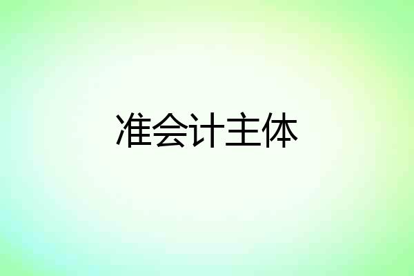 准会计主体