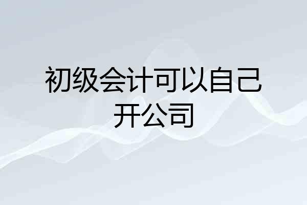 初级会计可以自己开公司