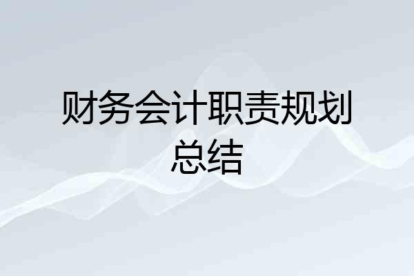 财务会计职责规划总结