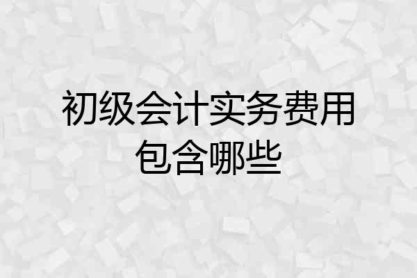 初级会计实务费用包含哪些