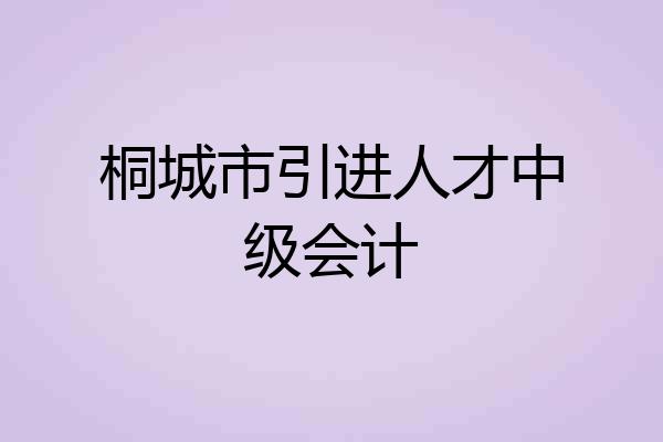 桐城市引进人才中级会计