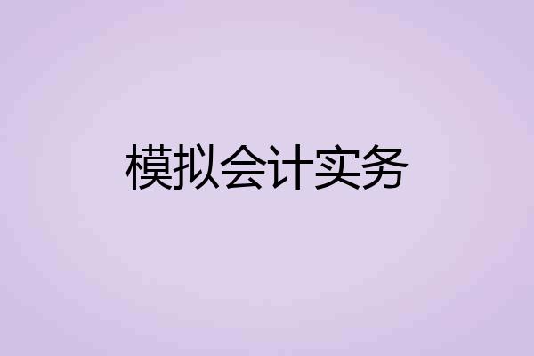 模拟会计实务