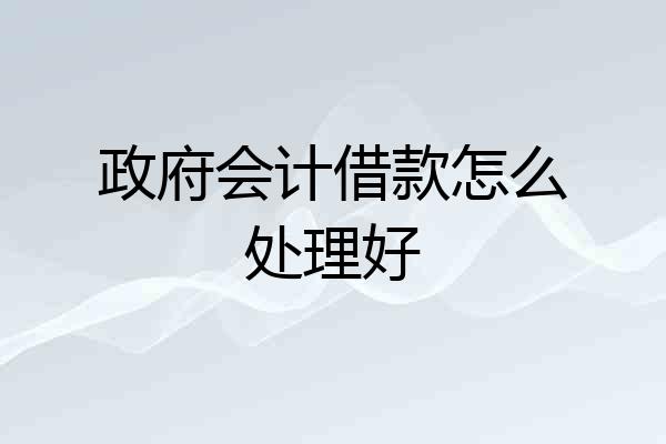 政府会计借款怎么处理好