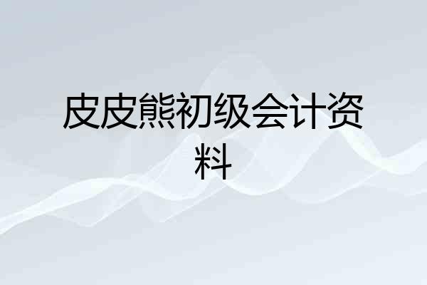 皮皮熊初级会计资料