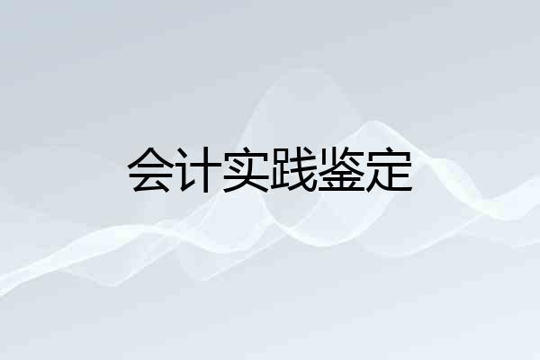 会计实践鉴定