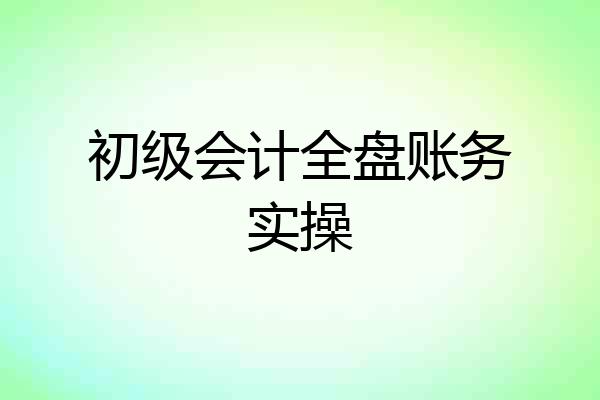 初级会计全盘账务实操