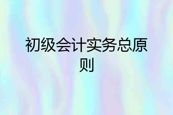 初级会计实务总原则